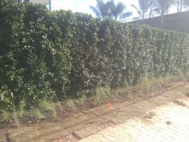 Servi�o de Jardinagem